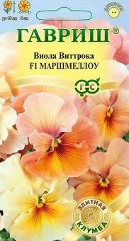 00007202_Виола Маршмеллоу (Гавриш)