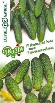 00026291_Огурец Папенькина дочка+Маменькин любимчи