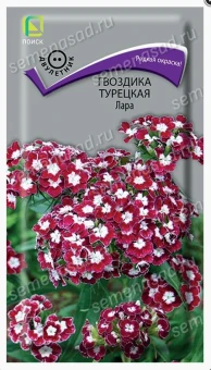 Снимок экрана 2026-10-02 105210