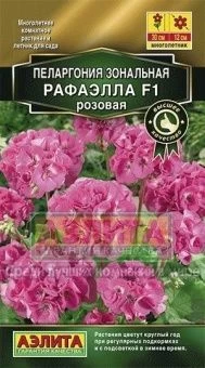 Пеларгония Рафаэлла розовая (Аэлита)