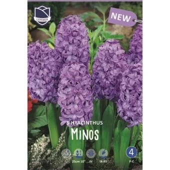 giatsint-minos-w800-h800