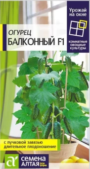 Снимок