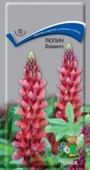 00038988_Люпин Фламинго 1г (ПОИСК)