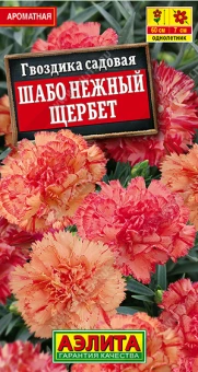 Снимок экрана 2025-08-01 114937