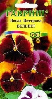 00008279_Виола Вельвет смесь (Гавриш) 11000