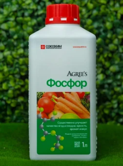 Снимок