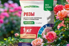 Новинка! Специализированное удобрение для роз с богатым составом. Новинка! Специализированное удобрение для роз с богатым составом.