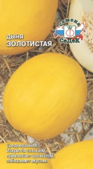 Снимок8