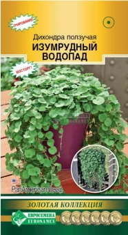 Снимок