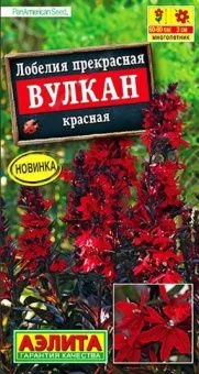 Лобелия Вулкан красная (Аэлита)
