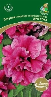 00036615_Петуния Дуо роуз махровая многоцветковая 
