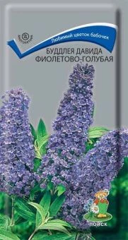 00021336_Буддлея Давида фиолетово-голубая 0,01г (П