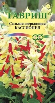 00010213_Сальвия Кассиопея карликовая (Гавриш) 1_1