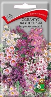 00041146_Схизантус Гибридная смесь визетонский 0,0