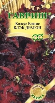 00025965_Колеус Блэк Драгон 4шт серия Элитная клумба (Гавриш)