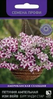 00041103_Петуния Изи Вейв Бургунди Стар ампельная 