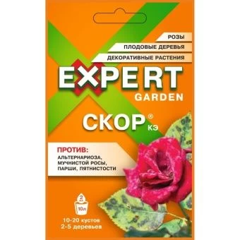 ЦБ-00001791_Скор 2мл (ЭГ)