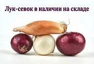 Уважаемые партнеры! Информируем о поступлении новой партии лука-севка. Уважаемые партнеры! Информируем о поступлении новой партии лука-севка.