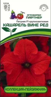 Снимок1