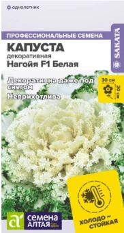 Снимок экрана 2026-10-29 135257
