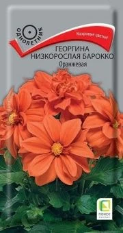 00041072_Георгина низкорослая Барокко Оранжевая 0,