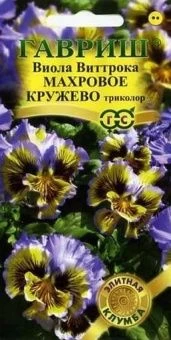00012539_Виола Махровое кружево триколор (Гавриш)