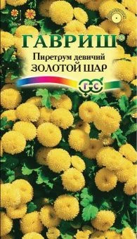 00007962_Пиретрум Золотой Шар (Гавриш) 1_1000