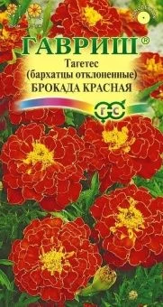 00010384_Бархатцы Брокада красная отклоненные (Гав