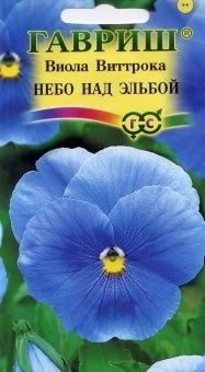 00008283_Виола Небо над Эльбой (Гавриш) 11000