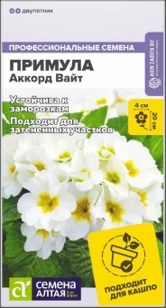 Снимок
