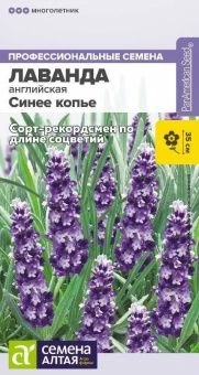 00-00031732