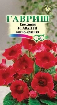 Глоксиния Аванти винно-красная (Гавриш) 1/1000