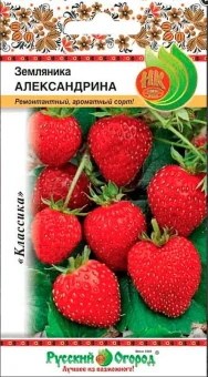 Снимок экрана 2026-07-30 105813