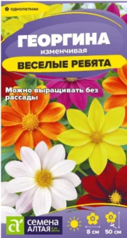 Снимок экрана 2026-07-31 093959
