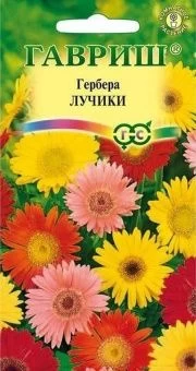 00013423_Гербера Лучики (Гавриш) 11000