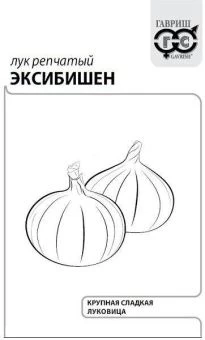 00013959_Лук Эксибишен БП Голландия (Гавриш)