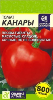 Снимок экрана 2026-07-30 171823