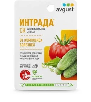 Intrada_10ml