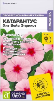 Снимок