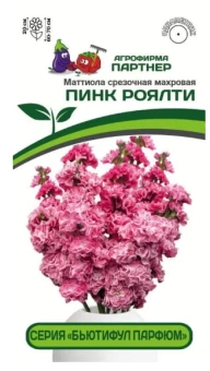 Снимок3