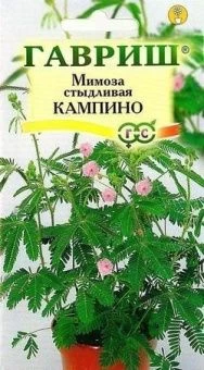 Мимоза Кампина стыдливая (Гавриш) 1/1000
