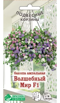 panozi1660182839