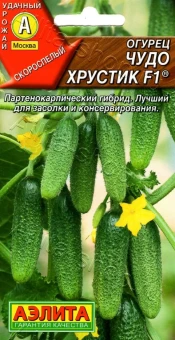 00012288_Огурец Чудо Хрустик (Аэлита)