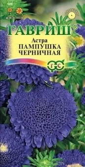 00003731_Астра Пампушка черничная (Гавриш) 1_800