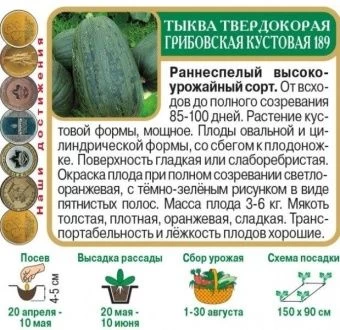 00033888_Тыква Грибовская кустовая 10шт (ПОИСК)