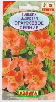 00004320_Годеция Оранжевое сияние махровая (Аэлита