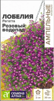 Снимок