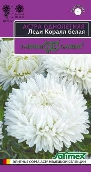 00009127_Астра Леди Корал белая (Гавриш) 1_800