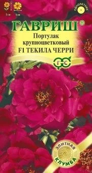 00007968_Портулак Текила Черри (Гавриш) 1_1000