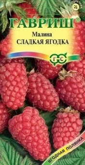 00007172_Малина Сладкая Ягодка (Гавриш) 1_1000